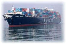 International Moving Using Cargo Containers